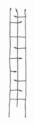 Panacea Products Narrow Forged Twig Trellis with Leaves, Black