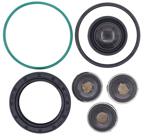 Doo Engy Hochdruckpumpe Benzinpumpe Einspritzpumpe Membranen Reparatursatz für Vectra C Signum Astra H Zafira B 2.2 DGi Direct C5 406 2.0 HPI