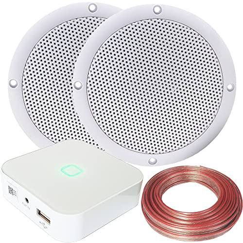 Loops 80W Speaker System - Compact WiFi Stereo Mini Amplifier - 2x 80W Moisture Resistant Stereo Bathroom Ceiling Speaker Kit - App Controlled Wireless Music Streaming Amp