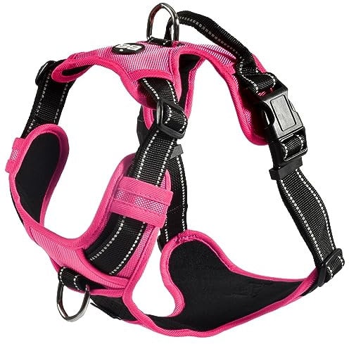 Bobby Rando Walk Harnais pour Chien, Petit Chien, en Nylon, sûr, Confortable, réfléchissant, réglable, Fuchsia, L/46-70 x 2,5 cm