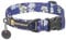 Ruffwear Front Range Mittelgroßes Hundehalsband, bequem und stark mit seitlicher Schnalle und Gurtband zum Gassigehen mit dem Hund, Größe M (36–51 cm), Wildblume