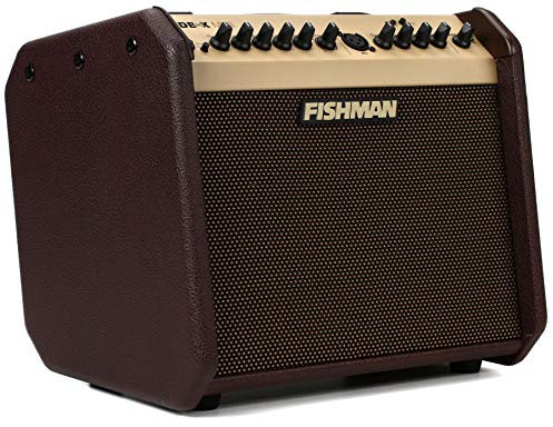 Fishman Loudbox Mini BT 60 Watt 1x6,5 Zoll Akustikkombi