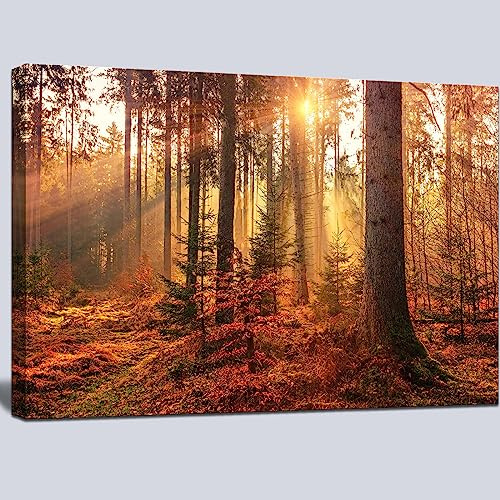 Leinwandbild Wandbild Wandbilder Schlafzimmer, Mystery Forest Licht Wandkunst, Natur Landschaft Herbstbäume Gemälde, Wanddekoration zum Aufhängen für Büro, Badezimmer, Wohnzimmer – 61 x 91,4 cm