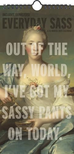 2025 Everyday Sass Mini Poster Calendar