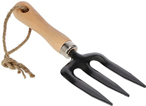 KOTARBAU® Mini fourchette de jardin 3 dents pour transplantation de fleurs 28 cm