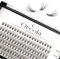Oreola Faux Cils Individuels Sentiment Naturel 0.07C Curl 8-14mm 120PCS 20D Lashes Cluster pour DIY Extensions de Cils à la Maison, Ultra-Léger Touffes de Cils Réutilisables