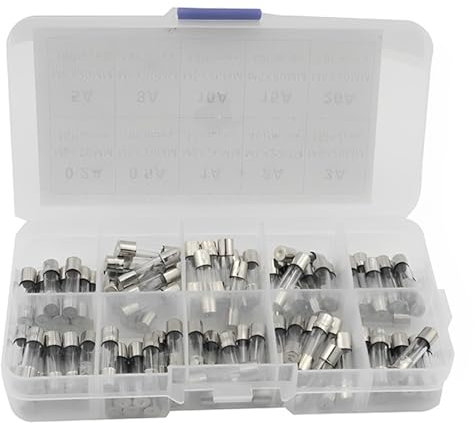 100Pcs 10 Values Schnellschlag Glassicherungen, Feinsicherung Sortiment, 5x20mm Sicherung 250V 0.2A 0.5A 1A 2A 3A 5A 6A 8A 10A 15A, Traege Glassicherung, Feinsicherung Träge