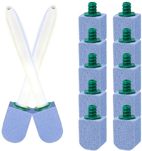 Bimsstein Toilette 10 Stück,Cleaning Block Wc mit Griff,Effektive Bimsstein Toilettenreiniger,Hartnäckiger Kalk im WC Entfernen Und Urinstein,für die Reinigung von Badezimmer,Küche Spüle(Blau)