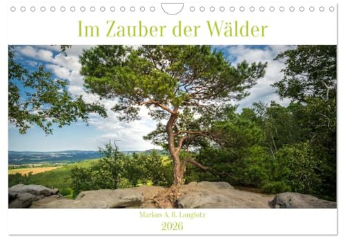 Im Zauber der Wälder (Wandkalender 2026 DIN A4 quer), CALVENDO Monatskalender: Zauberhafte Wälder Mitteleuropas (CALVENDO Natur)