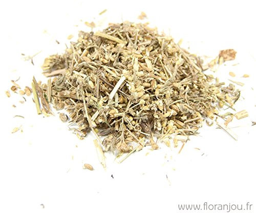 Floranjou - Millefeuille sommité fleurie BIO - 1 kg - Nom botanique : Achillea millefolium