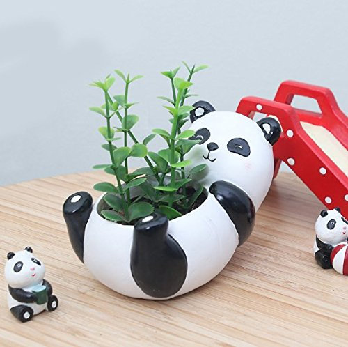 Binoster Blumentöpfe, Niedlichen Tierförmigen Cartoon Sukkulenten Vase Blumentöpfe, Container, Dekoration Pflanzer Töpfe, Schreibtisch Mini Ornament (Panda)