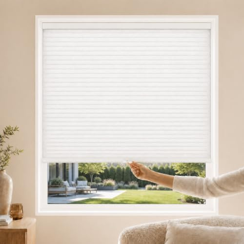 CHICOLOGY Cordless Cellular Shades Privacy Single Cell Window Blind, 27W X 48H, Morning Mist