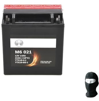 Compatible con Suzuki GV GD Cavalcade LX 1400 dal 1986 al 1988 BATERIA BOSCH M60210 YTX16-BS-1 BATERIAS Selladas para Moto 14AH AMPERIOS 12VOLT Completa Lista para Usar 150X87X161MM
