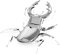 Fascinations MMS071 Metal Earth Metallbausätze - Insekt Hirschkäfer Stag Beetle, lasergeschnittener 3D-Konstruktionsbausatz, 3D Metall Puzzle, DIY Modellbausatz mit 1 Metallplatinen, ab 14 Jahre