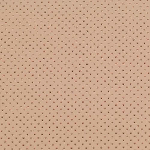 AFH-Webshop Thermoplastisches Schienenmaterial | EasyThermoForm | Modellage Perfo | perforiert | verschiedene Dicken und Farben (Dicke: 1,6 mm | Mikroperforiert, beige | Memory-Effekt
