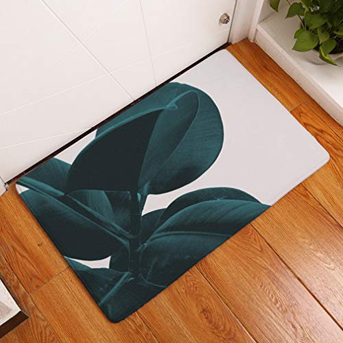 Nunbee Fußmatte Druck Designe Anti Rutsch Unterlage Wasseraufnahme Praktische Teppich Schmutzfangmatte Haustür Flur Innenbereich Aussen Lustig, BlätterE 40 * 60cm