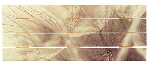 Bilderwelten Holzbild Detailreiche Pusteblumen Makroaufnahme Vintage Blur Effekt 48cm x 120cm