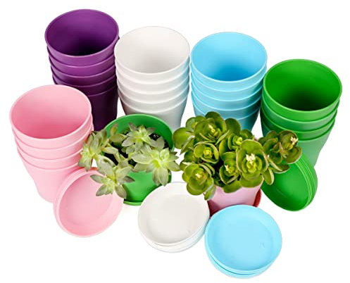 Lot de 25 mini pots de fleurs d'intérieur en plastique avec palette, pots de fleurs décoratifs modernes (rose, blanc, violet, bleu, vert, 25)
