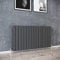ELEGANT 600x1216mm Radiators Flat Panel Horizontal Anthracite Double Radiator Modern Central Heating, Wall Mounted/Up Standing Urban Slimline Column Radiator for Bathroom/Kitchen/Living Room