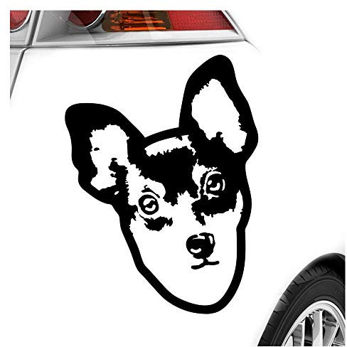 Kiwistar - Autoaufkleber - Fox Terrier Hund - Schwarz - 40x29cm - Aufkleber Auto, Laptop, Fahrrad, LKW, Motorrad mehrfarbig JDM Decal Racing