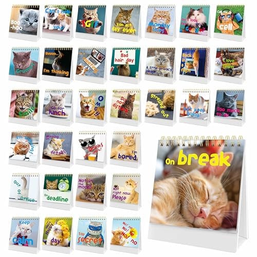 40 Pages Funny Desk Sign, 34 Different Fun and Flip-Over Messages plus 6 Erasable Blank Pages, Funny Desktop Flip Book for Office Gifts Desk Accessories (Cat Design)
