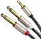 XANHAM 1/8 to Dual 1/4 Stereo Audio Cable 6.6 Feet /2M 3.5mm TRS Male Mini Jack to Dual TS 6.35mm Male Jack Mono Y Splitter Cord Adapter, Double Shielded with Braiding