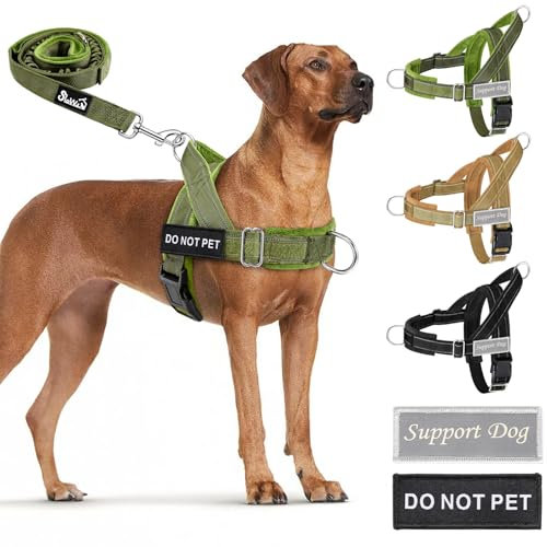 Eyein Hundegeschirr mit Leine für große mittelgroße Hunde, Weich gepolsterter Brustgeschirr mit 2 Leinenclips, Reflektierend & Leichtgewicht Anti Zug Geschirr für Spaziergänge Training, Grün, L