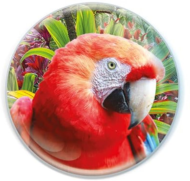 Deluxebase Magnidome Parrot Fridge Magnet – Crystal Glass Dome Animal Magnets for Fridges, Decorative Strong Magnet for Kitchen Accessories, Novelty Gifts and Cute Home Decor.