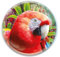 Deluxebase Magnidome Parrot Fridge Magnet – Crystal Glass Dome Animal Magnets for Fridges, Decorative Strong Magnet for Kitchen Accessories, Novelty Gifts and Cute Home Decor.