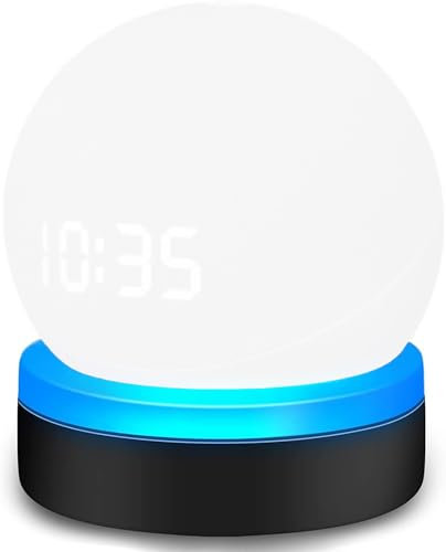 ZahoTse Für Amazon Echo dot 4 / Echo dot 5 Halter Desktop Ständer Halterung Zubehör,Keine Schrauben notwendig Lautsprecher Zubehör Rack(Amazon Echo dot 4 / Echo dot 5,Schwarz) WL808