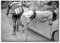 Leinwandbild, Vintage-Fahrrad-Fotografie, Leinwandkunst, Frankreich, Radrenn-Poster, Schwarz-Weiß, Leinwandmalerei, Fahrrad-Sportdrucke, Wandkunst, Bild, Wohnzimmer, Heimdekoration (Radrennen-Poster,