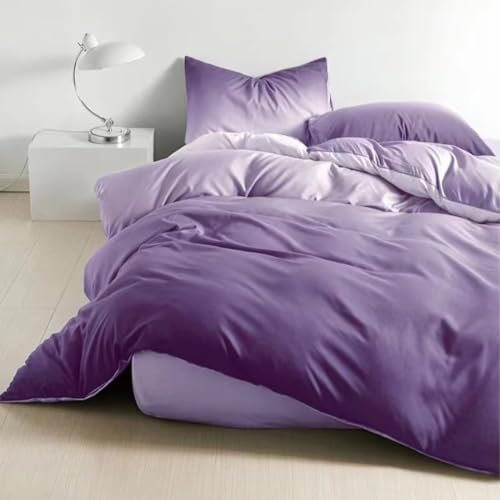 Soifox Bettwäsche 200x200 Lavendel - Bettgarnitur Bettwäsche Sets Microfaser Bettbezug 200 x 200cm mit Kissenbezug Bügelfrei & Knitterfrei Modern Deckenbezug mit Reißverschluss