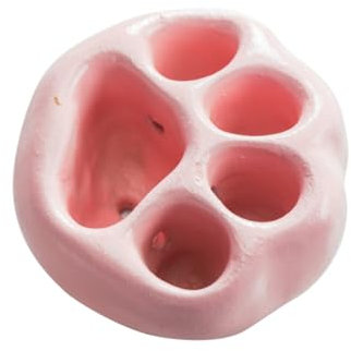 Toddmomy Maceta Forma De Garra De Gato Maceta Pequeña para Suculentas para Mesa De Oficina Decoración De Escritorio Plantas Pequeñas