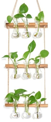 XXXFLOWER Kleine Tropfenförmige Glasflasche,Kleine Vasen Set mit Ständer für Pflanzen,3X3-Vermehrungsstation,Ableger Pflanzen Glas,Zimmerpflanzen Zubehör Pflanzenterrarium Pflanzenhalter Terrarium