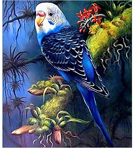 Kreuzstich Set Erwachsene Sticken Papagei Stickpackung Stickerei Set DIY Handarbeit Vorgedruckt Sticken Stickvorlage Stickbild Home Dekor 40X50Cm
