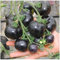 100 Parti/Sacchetto - Indigo Rose Black Tomato Seeds Frutta Verdure Seed:Seeds