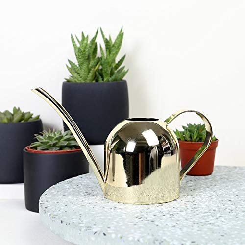 Regadera de Cobre, Regadera de Acero Inoxidable de 500 Ml, Regadera de Boca Larga, Mini Regadera de Jardín con Mango Cómodo para Plantas de Interior y Exterior (Oro)