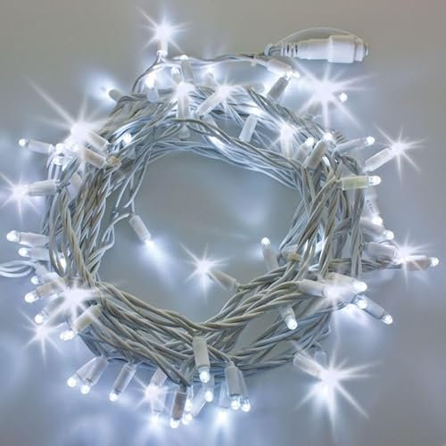 Catena Luminosa Natalizia a LED Luce fredda Professionale, 10 metri con 100 LED Ultra-Luminosi, Prolungabile, per Esterni, Effetto Flash, Luci di Natale da Esterno (Luce fredda + flash freddo)