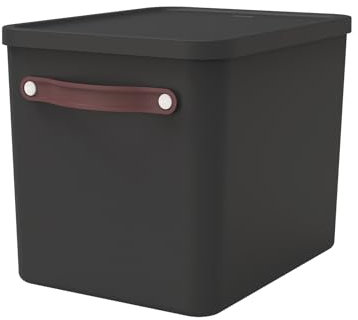 Rotho MyPaper Archivbox Dokumentenorgan. Kunststoff (PP) BPA-frei, schwarz, (40.0 x 29.2 x 29.8 cm)