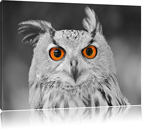 Pixxprint süßer Eulen Kauz B&W, Größe: 100x70cm, Leinwandbild, fertig gespannt, Wandbild, Dekoration, Kunstdruck, kein Poster