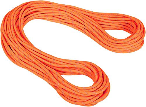 Mammut 9.5 Alpine Dry Seil 60m orange