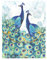 Punch Studio Peacock Duo Notizblock (46624), mehrfarbig, 7,6 cm x 4 Stück