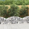 Gabione mit Hochbogen, Xichuzi Gabionen Zaun, Steinkorb Garten, Gabionenkörbe, Gabionen Gitter, Dekorative Zã¤une, 150x30x40/60 cm Verzinktes Eisen