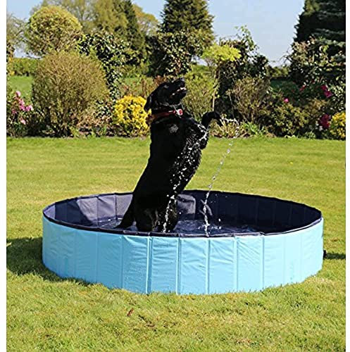 Rosewood Cool Down - Piscina para Perros (120 x 30 cm, tamaño Mediano)