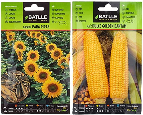 Semillas Batlle Girasol para pipas & Maiz dulce GOLDEN BANTAM