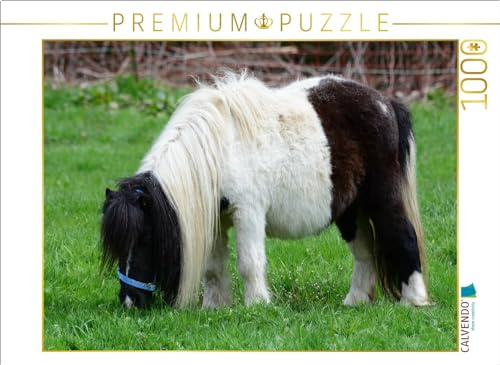 CALVENDO Puzzle Kleinpferd oder einfach liebevoll: Pferdchen | 1000 Teile Lege-Größe 64 x 48 cm Foto-Puzzle für glückliche Stunden
