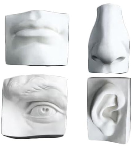 LKYLVEE Fünf Sinne Schnittmodell Skizze Kunst Gips Modell für Kunststudenten Schädel Gips Zeichenwerkzeuge Skizzieren Lehrmittel 4 Stück,Weiß,20cm