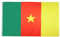 AZ FLAG - Flagge Kamerun - 150x90 cm - Kamerunische Fahne 100% Polyester mit Messing-Ösen - 110g