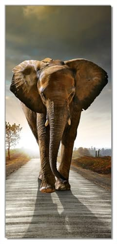 Wallario Selbstklebende Türtapete mit Schutzlaminat Elefant bei Sonnenaufgang in Afrika - Türposter 100 x 220 cm Abwischbar, rückstandsfrei zu entfernen