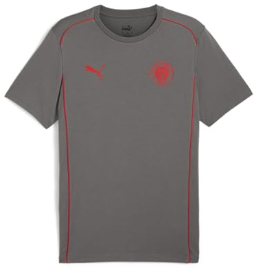 PUMA Herren FC St. Pauli Casuals T-Shirt XL Flat Medium Gray Red